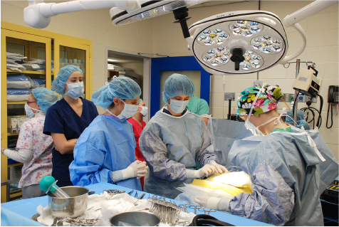 Student Surgical Opportunities III